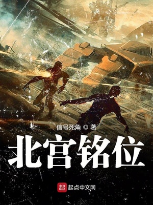 变形金刚6免费观看